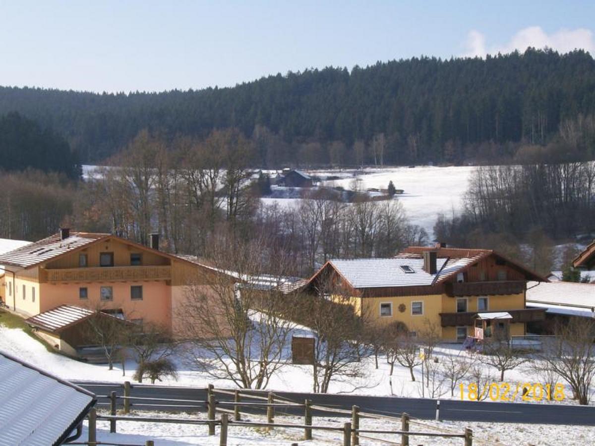 Fischer Willi Bad Koetzting Exteriör bild